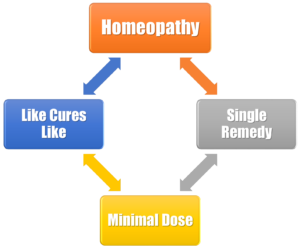 image of homeopathy flow chart