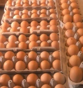 image of eggs in cartons