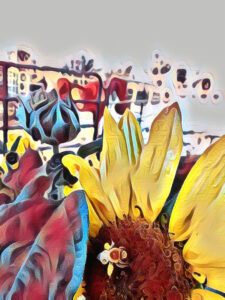 sunflower picture using pop art filter