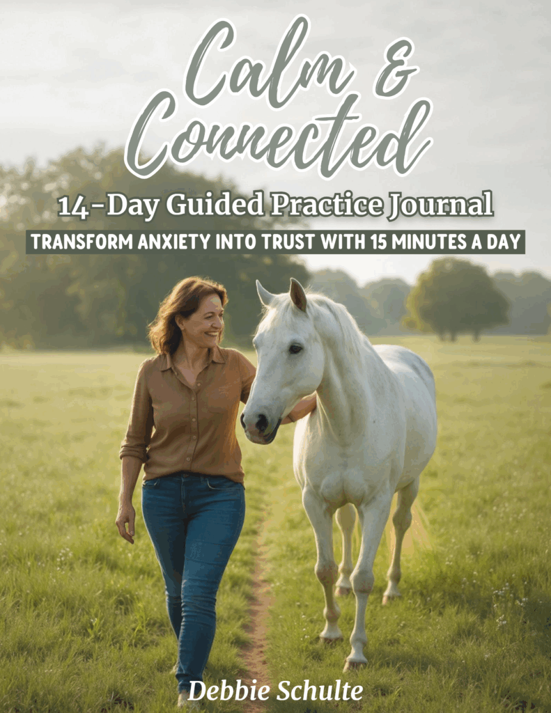 image of Calm & Connected 14-Day Guided Journal cover